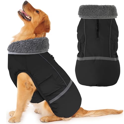 Version 1.0.0 Version 1.0.0