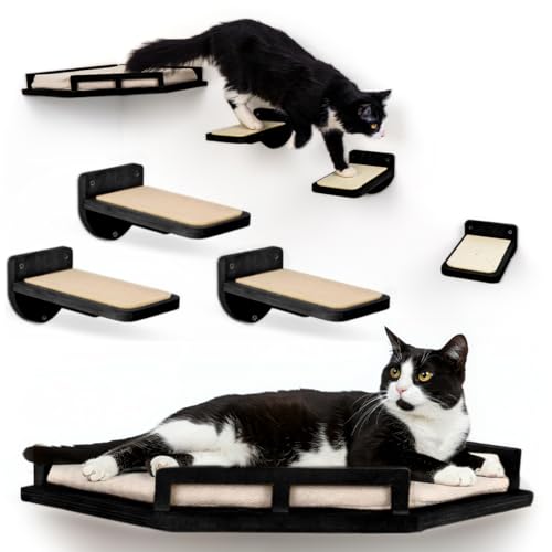 Version 1.0.0 Version 1.0.0