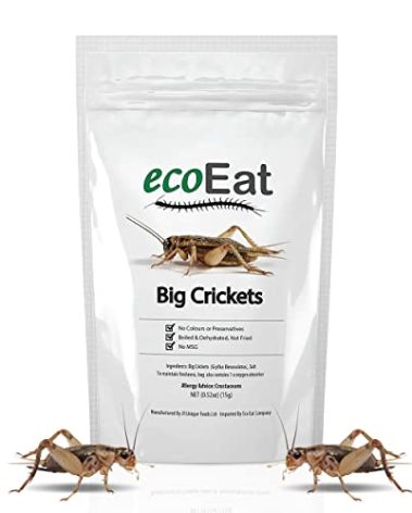 ecoEat Edible Insects Big Black Crickets to Eat – Edible Bugs Edible Dehydrated Crickets - Snack Food Gifts (15g)