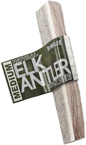 Version 1.0.0 Version 1.0.0