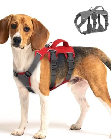 Beirui Escape Proof Dog Harness for Medium Dogs, Reflective No Pull with Padded Handle, Waterproof for Daily Walking & Training (Red, Chest 13-27'')