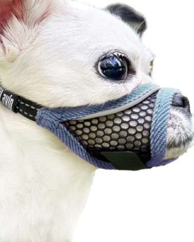 MoiiLavin Dog Muzzle, Soft Mesh Muzzles for Small Medium Dogs for Barking Biting Grooming Vet Visits, Short Snout Puppy Mask Allows Drinking, Breathable Mouth Cover 10-20 lbs (Silver-Blue, S)