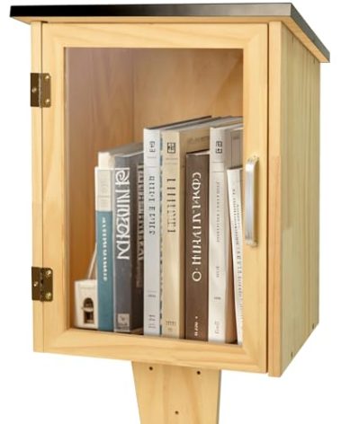 HAFTKD Outdoor Library Book Box, Little Library for Sharing books, DIY Storage Wooden Cabinet Easy Mount for Neighborhoods and Schools
