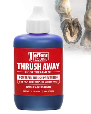 Jeffers Equine Thrush Away 2 Oz Iodine Hoof Solution for Horses – White Line, Frog, Pads, Farrier, Grooming, Stable, Ranch, Farm – Easy Application Hoof Care for Wet & Dry Conditions