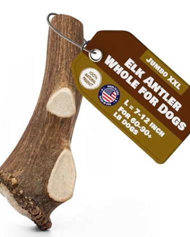 Jumbo Whole Elk Antlers for Dogs | 100% Natural & Organic | Dog Elk Antler for Aggressive Chewers | Whole Dog Antler Chews for Large Dogs 60-90+ lbs | 7-12 Inches, XXL | 12 oz