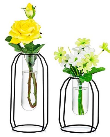 NUPTIO Vases Set of 2 Glass Vases with Metal Frame, Modern Black Frame Cylinder Clear Vase Planter Terrariums, Flower Holder Decorations for Wedding Living Room, Office, Party