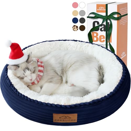 Version 1.0.0 Version 1.0.0