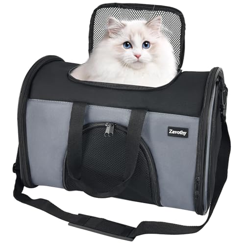 Version 1.0.0 Version 1.0.0