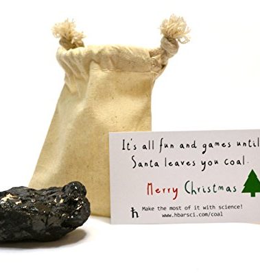 hBARSCI Santa's Christmas Coal with Science Experiment - Large Lump of Genuine American Coal in Premium Cotton Bag (Egg/Golf Ball Size, 2.5" x 2" x 1.5") - Ideal for Stocking Stuffers, Gag Gifts