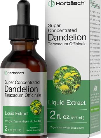 Horbäach Dandelion Root Extract Supplement | 2 fl oz | Super Concentrated | Alcohol Free Liquid Tincture | Vegetarian, Non-GMO, Gluten Free