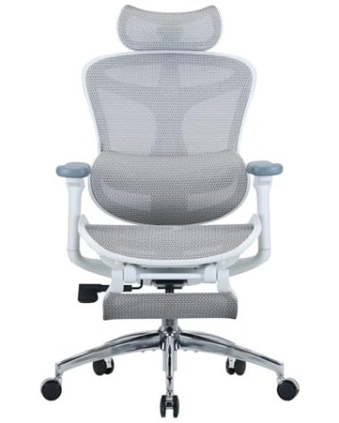 SIHOO Doro C300 Ergonomic Office Chair with Footrest, Ultra Soft 3D Armrests, Dynamic Lumbar Support for Home Office Chair, Adjustable Backrest Desk Chair, Swivel Big and Tall Computer Chair (Grey)