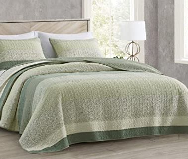 Chezmoi Collection Reed 2-Piece Chic Patchwork Striped Quilt Set - Green Floral Coverlet - Pre-Washed Cotton Lightweight Reversible Bedspread, Twin Size