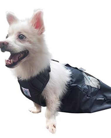 derYEP Dog Drag Bag Durable Indoor for paralyzed Disabled Back Rear Legs Dog Protects Chest and Limbs (XXS)…