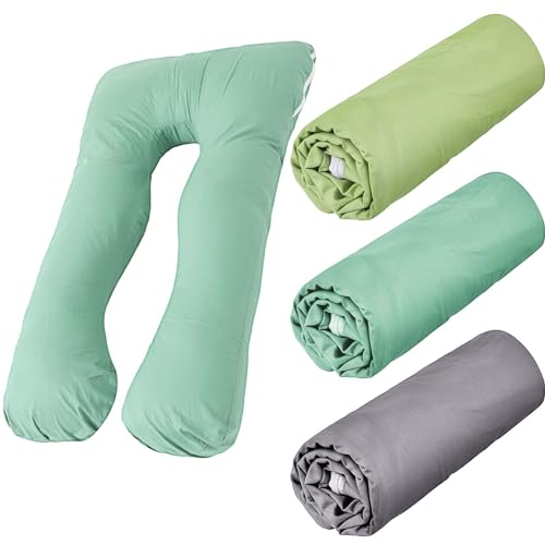 Version 1.0.0 Version 1.0.0