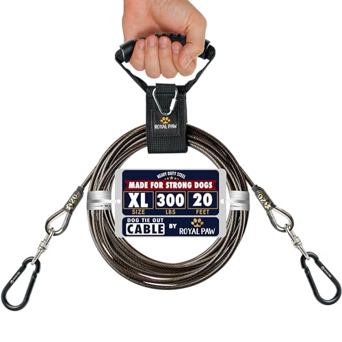 Version 1.0.0 Version 1.0.0