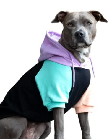 Spark Paws Dog Hoodie – Premium Dog Sweater for Small, Medium, and Large Dogs | Warm Outfits for French Bulldogs, Pitbull, Puppy, Winter Jacket Alternative - Cyber Punk - 4XL