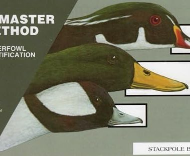 Waterfowl Identification (LeMaster Method)