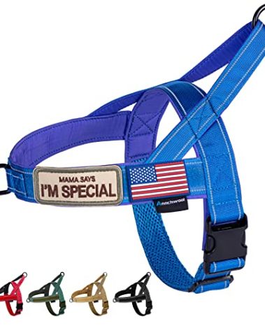 Annchwool No Pull Dog Harness with Soft Padded Handle,Reflective Strip Escape Proof and Quick Fit to Adjust Dog Harness,Easy for Training Walking for Small & Medium and Large Dogs(Blue,L)