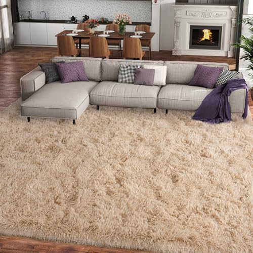 Version 1.0.0 Version 1.0.0