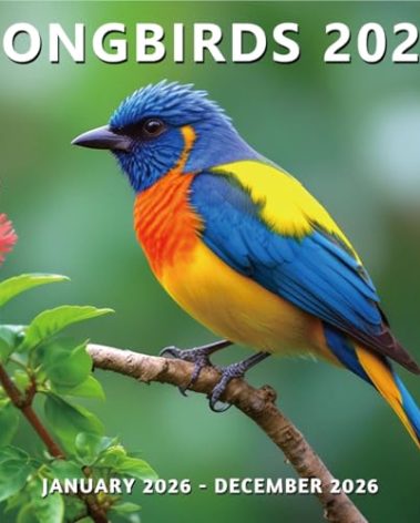 2026 Wall Calendar 12 Month, Beautiful Wildlife Bird Large Wall Calendar 2026 from January to December 2026, Thick & Sturdy Glossy Paper for Home & Office Monthly Organization, 12"x24" Open