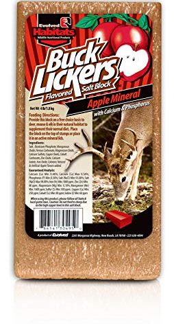 EVOLVED HABITATS Buck Lickers Flavored Salt Block 4 Lbs Apple Mineral Deer Attractant - Ready & Easy to Use Time-Release All Year-Round Food Supplement for Deer, Elk & Moose