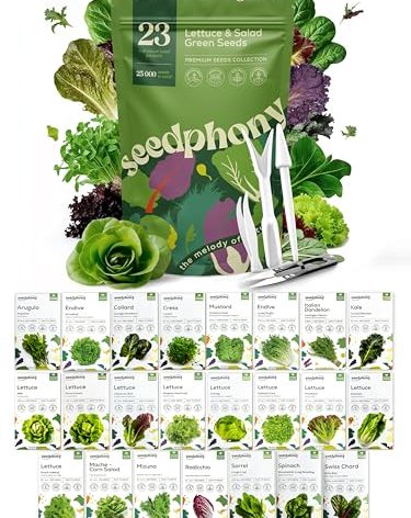 23 Lettuce & Salad Greens Seeds Variety Pack - 25,000+ Non-GMO Heirloom Greens Seeds for Planting Lettuce Indoor & Outdoor: Arugula, Mizuna, Kale, Spinach, Swiss Chard, Mache & More Lettuce Seeds