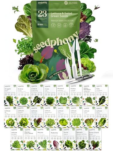 Version 1.0.0 Version 1.0.0