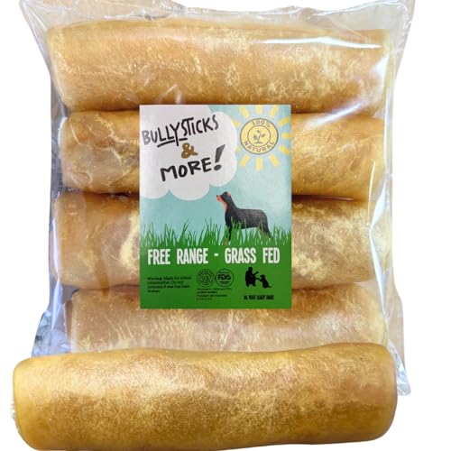 Version 1.0.0 Version 1.0.0