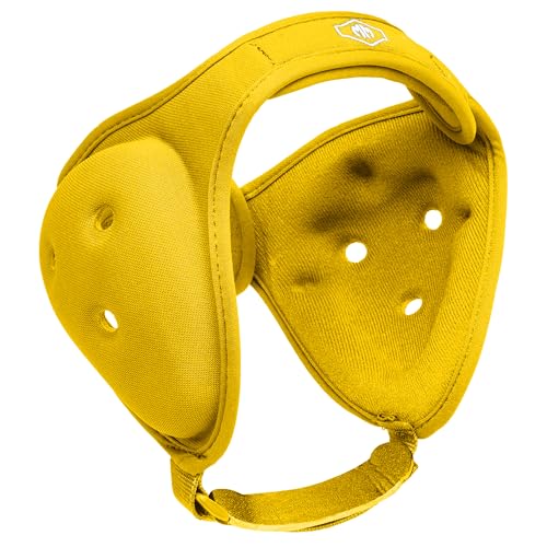 Version 1.0.0 Version 1.0.0