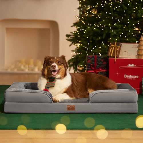 Version 1.0.0 Version 1.0.0