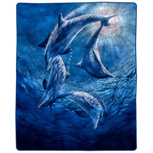 Version 1.0.0