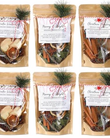 Siifert 6 Pack Christmas Potpourri Simmer Pot Kit, Holiday Stovetop Potpourri, Botanical Air Freshener Sachets, Festive Bowl Filler Decor for Home Fragrance, Housewarming & Hostess Gifts