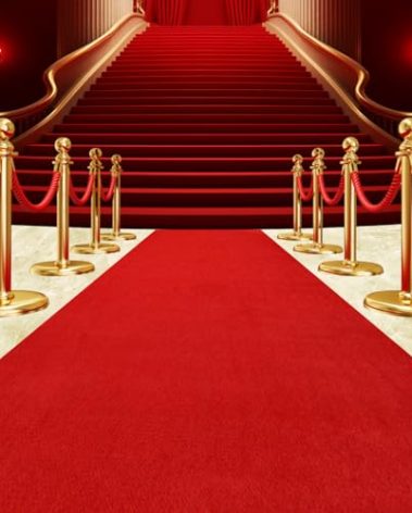 450 GSM Extra Thick Waterproof Red Carpet Runner for Events Decorations, 3X10 Ft Not Slip Red Runner Aisle Runway Rug for Wedding, Party, Banquet, Activity Entrance and Special Events Decorations