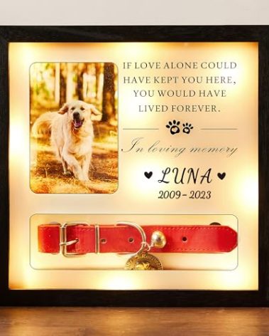 Pet Memorial Picture Frame Dog Collar Shadow Box 10"x10", Sympathy Remembrance Gift Keepsake for Loss of Dog or Cat, for Medium or Small Size Collars