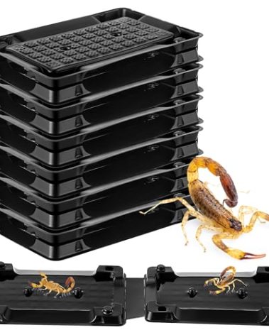 Qualirey 6 Scorpion Glue Tray Traps, Adhesive Scorpion Killer Indoor, Pet and Children Safe, Scorpion Repellent, Insect Traps Indoor, Sticky Bug Catcher for Basement, Bathrooms and Garage