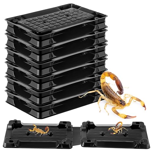 Version 1.0.0 Version 1.0.0