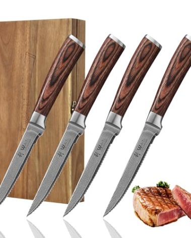 Wakoli EDIB 4-Piece Damascus Steak Knife Set – Professional Dining Kitchen Knives with VG10 Core Blades, 67-Layer Damascus Steel & Ergonomic Pakkawood Handles – Premium Steak Cutlery in Gift Box