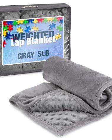 Kidaddle 5lb Weighted Blanket (Grey) 19x22 Inch– Plush Minky Lap Pad with Sensory Support for Autism or ADHD, Giftable Weighted Blanket with Travel Bag for Ages 4–10