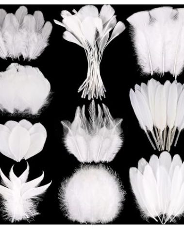 FeelfunFeather 300 pcs White Craft Feathers - 10 Style Mixed Decorative Natual Small Feather for DIY Crafts Clothing Jewelry Hair Wedding Party Decor