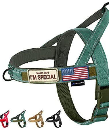 Annchwool No Pull Dog Harness with Soft Padded Handle,Reflective Strip Escape Proof and Quick Fit to Adjust Harness,Easy for Training Walking for Small & Medium and Large Dogs(Green,L)