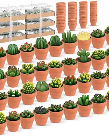 Shihanee 36 Pcs Bulk Decorative Succulent Cactus Tealight Candle Set Handmade Mini Terracotta Clay Holders for Cielito Lindo Baby Shower Wedding Party Decorations Christmas Gifts Birthday(Red)