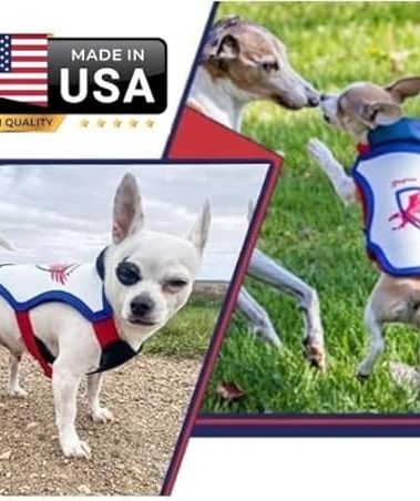 Raptor Shield Puncture Resistant Pet Vest for Small Dogs — Talon-Proof Protection Against Attacks by Coyotes, Hawks, Birds of Prey, Made in The USA, Four Sizes— Large, 12-21 lbs, Chest 17.5 to 23"