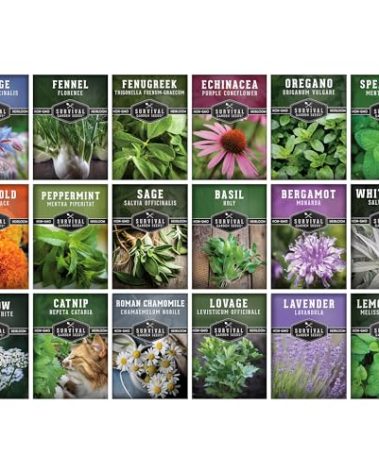 Medicinal Herb Seeds for Planting | 18 Seed Variety Pack of Heirloom, Non-GMO Herbs – Herbal Teas, Tinctures & Home Apothecary Garden Kit – Survival Garden Seeds