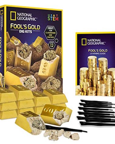 National Geographic Fool’s Gold Dig Kit – 12 Gold Bar Dig Bricks with 2-3 Pyrite Specimens Inside, Party Activity with 12 Excavation Tool Sets, Great Stem Toy for Boys & Girls or Party Favors