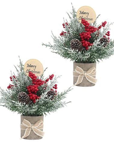 JIALEIXI 2PCS Small Christmas Tree,Tabletop Mini Xmas Tree,9" Artificial Little Potted for Christmas Decor,Suitable for Weddings, Holidays, Christmas and Other Festivals.(Red/Green)