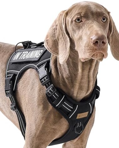 No Pull Dog Harness for Extra Large Dogs, Release on Neck, for Alaska Malamute, Bull Mastiff, Rottweiler, Great Dane etc, for Training, Casual Walks, Jogging, Easy Control Vest with Handle, Black XL