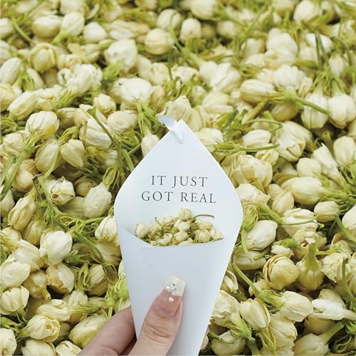 Version 1.0.0 Version 1.0.0