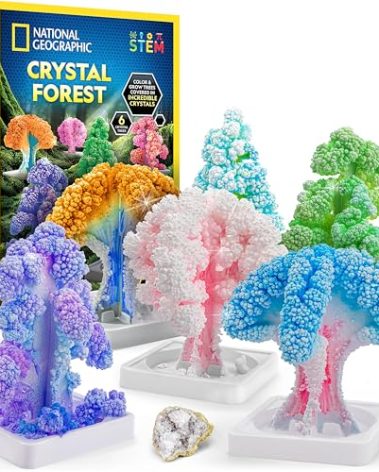 National Geographic Craft Kits for Kids - Crystal Growing Kit, Grow 6 Crystal Trees in Just 6 Hours, Educational Craft Kit with Art Supplies, Geode Specimen, STEM Arts & Crafts Kit (Amazon Exclusive)