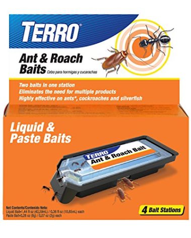 TERRO Ant & Roach Bait - Indoor Ant Killer and Roach Killer - 4 Bait Stations - Attracts and Kills Ants, Roaches, and Silverfish - T360