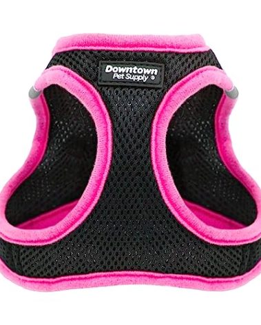 Downtown Pet Supply Step in Dog Harness for Small Dogs No Pull, Small, Black w/Pink Trim - Adjustable Harness with Padded Mesh Fabric and Reflective Trim - Buckle Strap Harness for Dogs